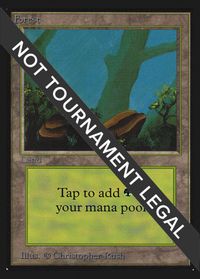 Forest (A) (IE) — International Edition
