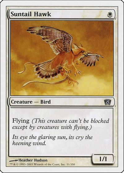 Suntail Hawk card art