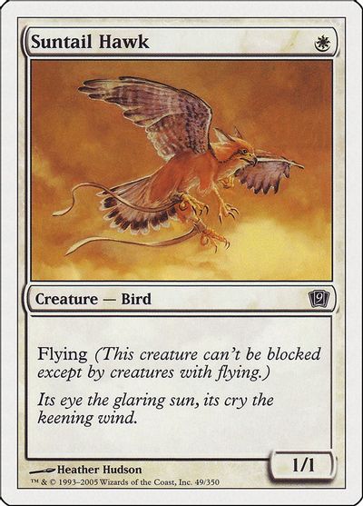 Suntail Hawk card art