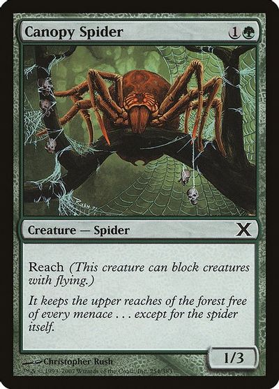 Canopy Spider card art
