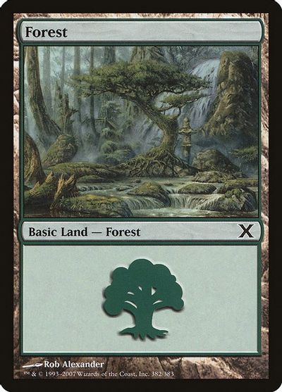 Forest (382) card art
