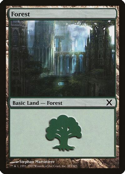 Forest (383) card art