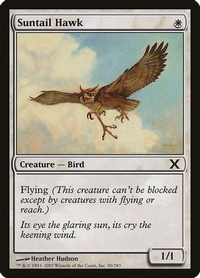 Suntail Hawk card art