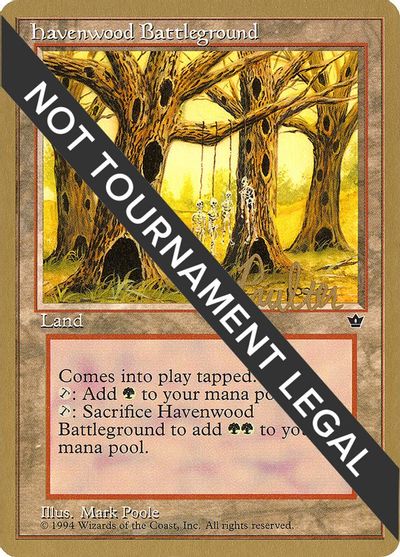 Havenwood Battleground - 1996 Preston Poulter (FEM) card art