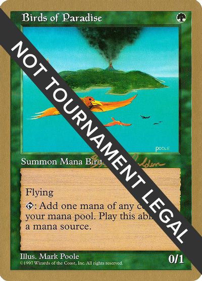 Birds of Paradise - 1998 Brian Selden (5ED) card art