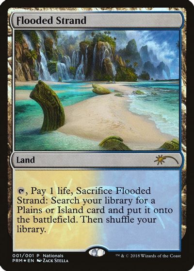 Flooded Strand card art