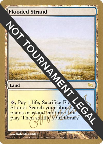 Flooded Strand - 2004 Gabriel Nassif (ONS) card art
