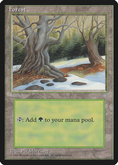 Forest (330) card art