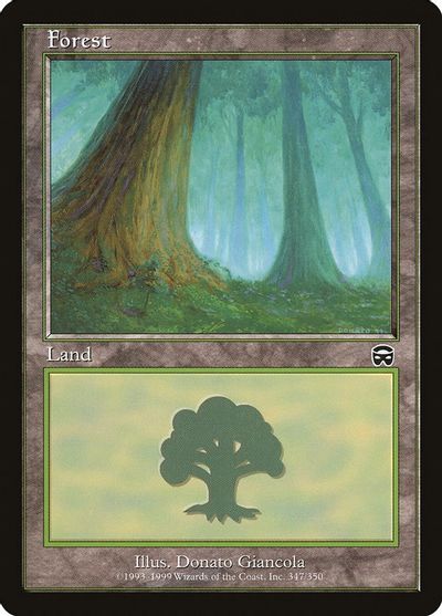 Forest (347) card art