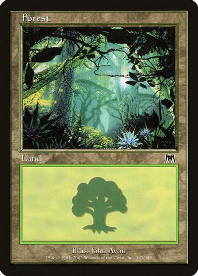 Forest (347) card art