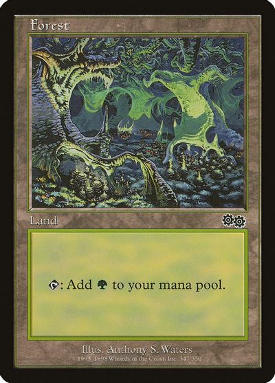 Forest (347) card art