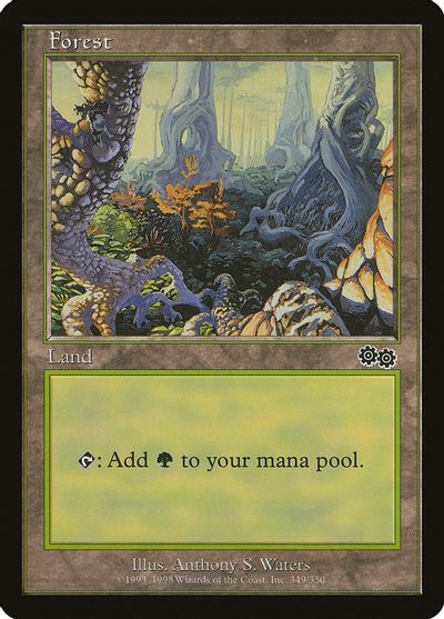 Forest (349) card art