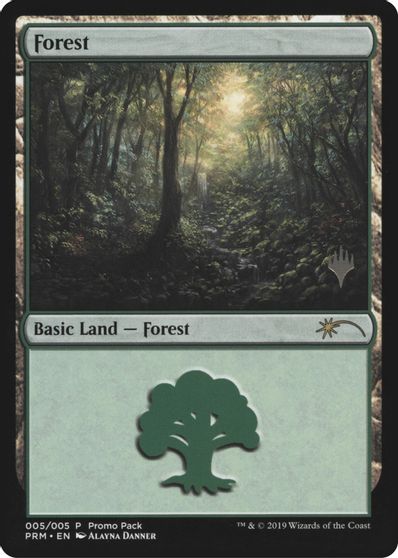 Forest card art