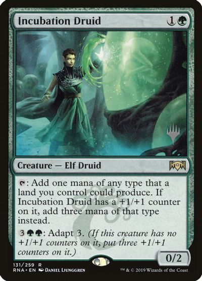 Incubation Druid card art