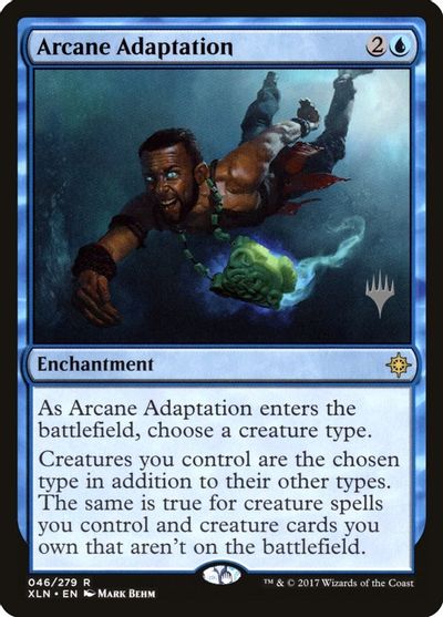 Arcane Adaptation card art