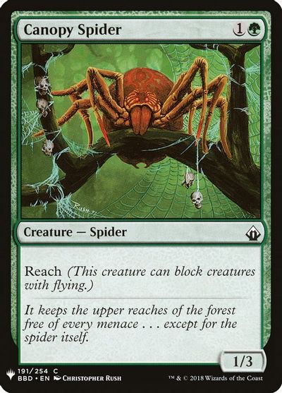 Canopy Spider card art