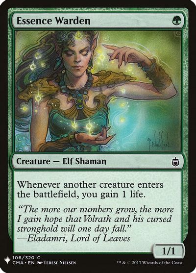 Essence Warden card art