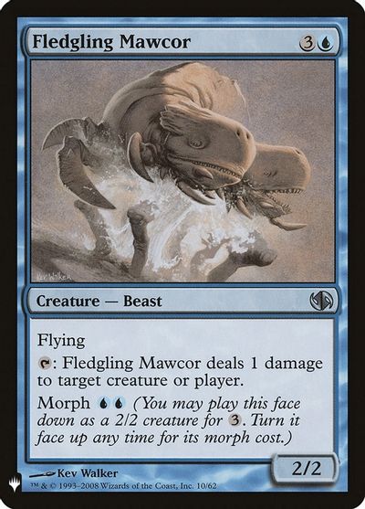 Fledgling Mawcor card art