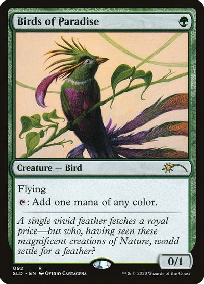 Birds of Paradise (92) card art