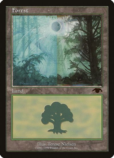 Forest - Guru card art