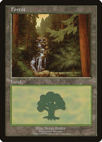 Forest - Schwarzwald card art