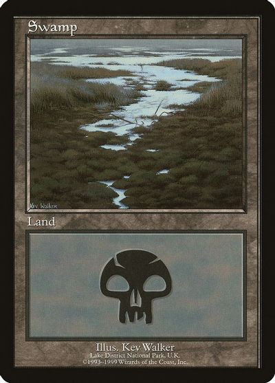 Swamp - Lake District National Park card art