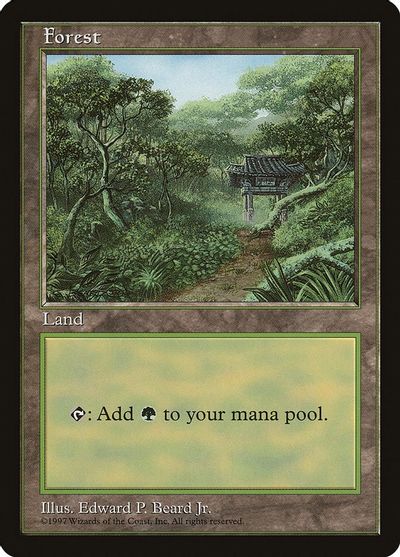 Forest - Clear Pack (Beard, Jr.) card art