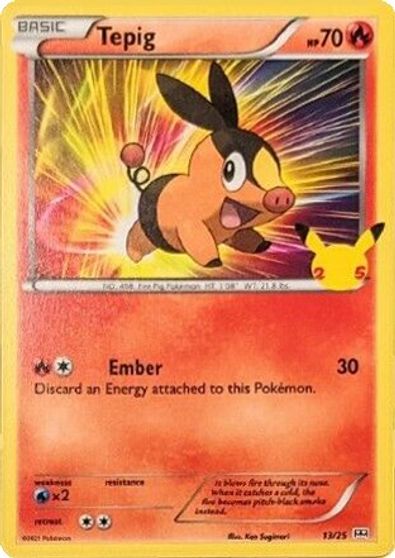 Tepig - 13/25 card art