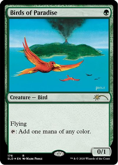 Birds of Paradise (176) card art