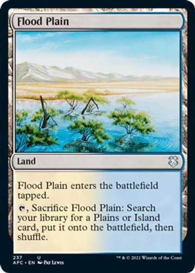 Flood Plain card art