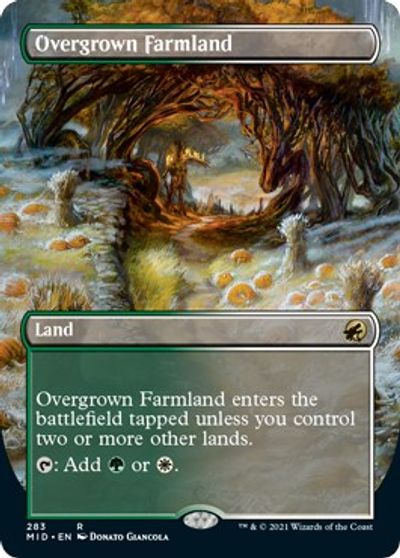 Overgrown Farmland (Borderless) card art