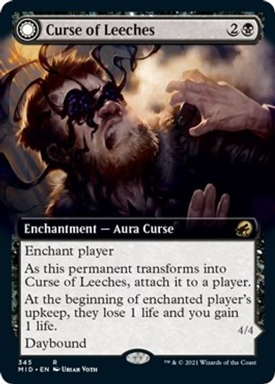 Curse of Leeches (Extended Art) card art