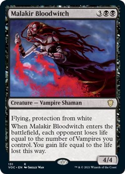 Malakir Bloodwitch card art