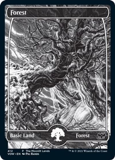 Forest (Moonlit Land) (Foil Etched) card art