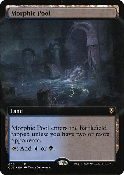 Morphic Pool (Extended Art) card art