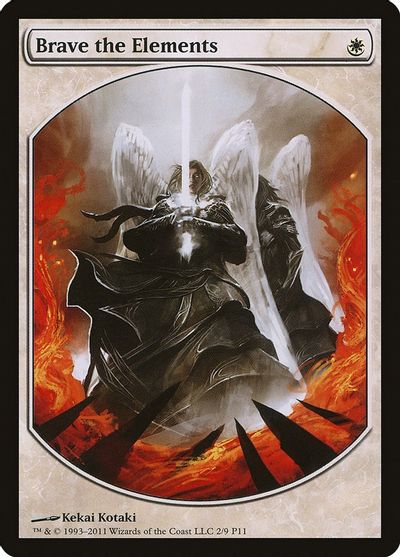 Brave the Elements card art