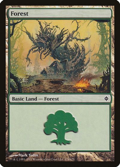 Forest (174) card art