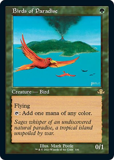 Birds of Paradise (Retro Frame) card art