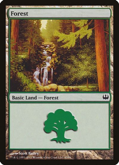 Forest (43) card art