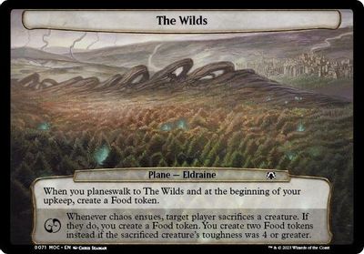 The Wilds card art