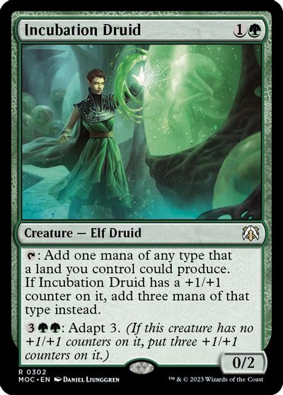 Incubation Druid card art