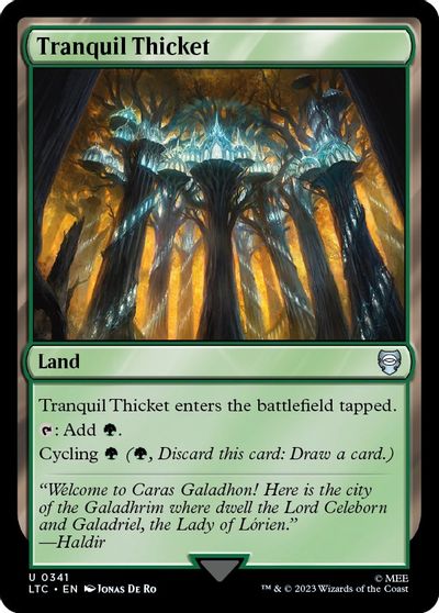Tranquil Thicket card art