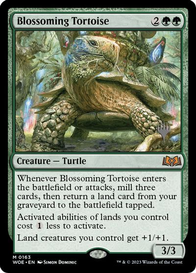 Blossoming Tortoise card art