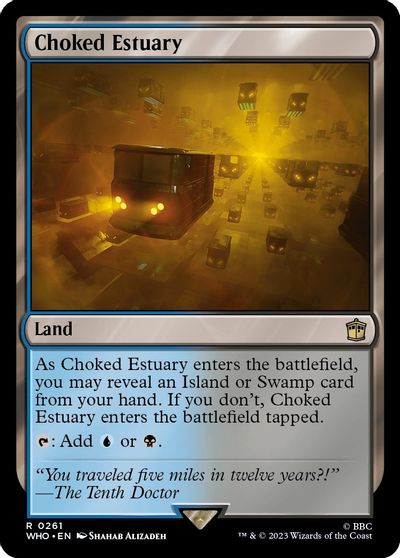 Choked Estuary card art