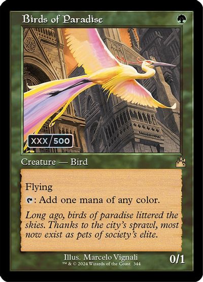 Birds of Paradise (Retro Frame) (Serial Numbered) card art