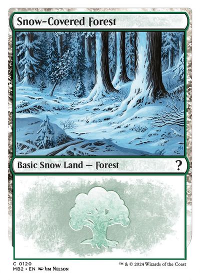 Snow-Covered Forest (White Border) card art