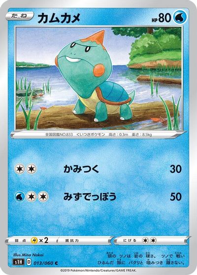 Chewtle card art