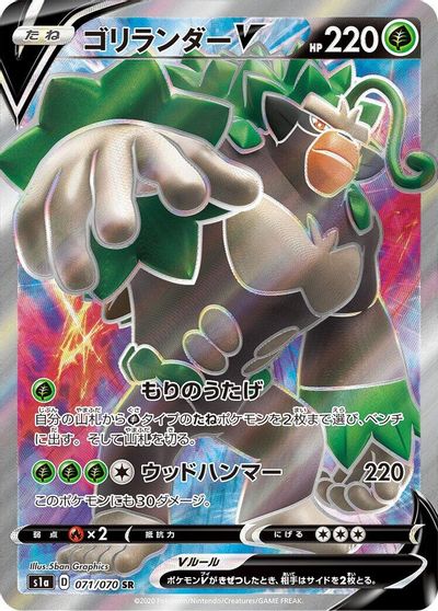 Rillaboom V - 071/070 card art