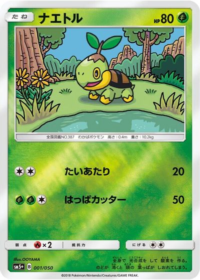 Turtwig card art