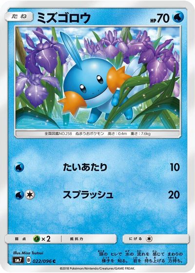 Mudkip - 022/096 card art